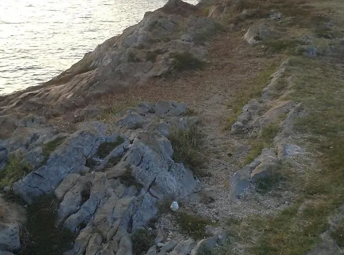 Lejlighed Antonio New Zadar